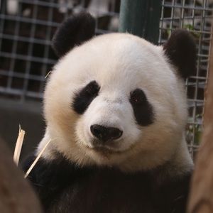 Meet your Posher, Ali